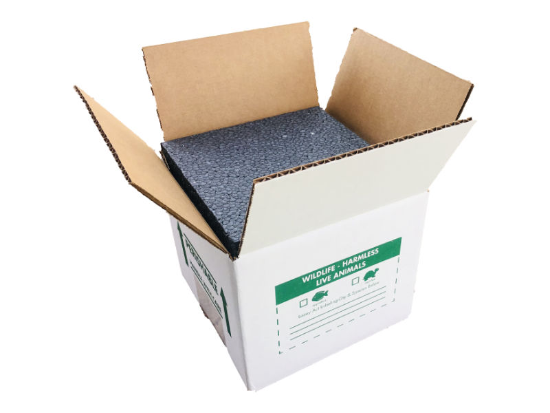 10"x10"x10" Insulated Shipping Boxes - Image 1